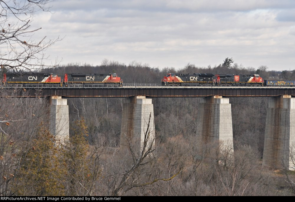 CN 5616